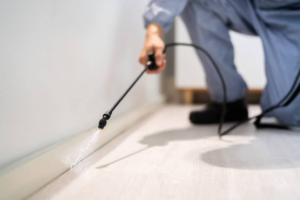 Professional Pest Control in Greenfield, WI